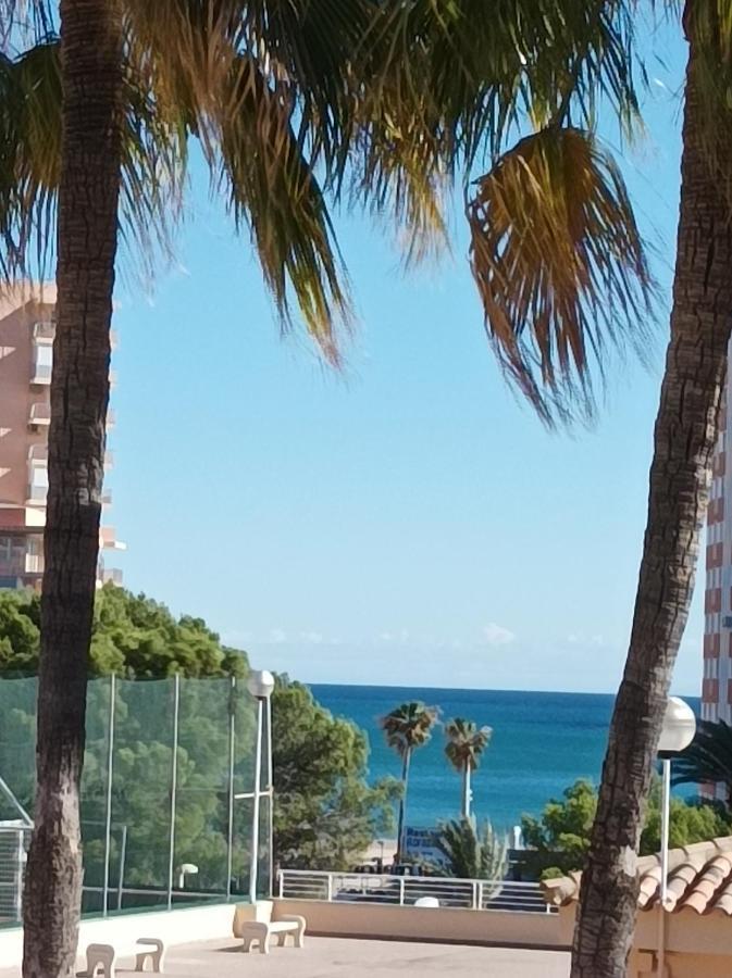 Almar Collection Cullera Bahia Park Apartman Kültér fotó
